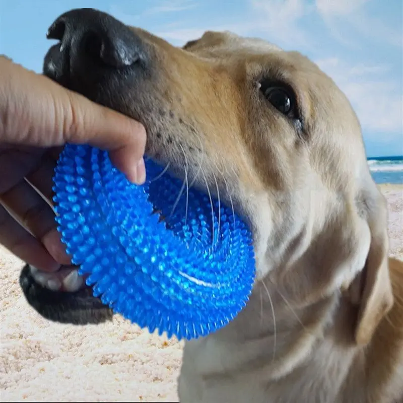 2 Pack Dog Toys – Bite-Resistant Squeaky Chew Balls
