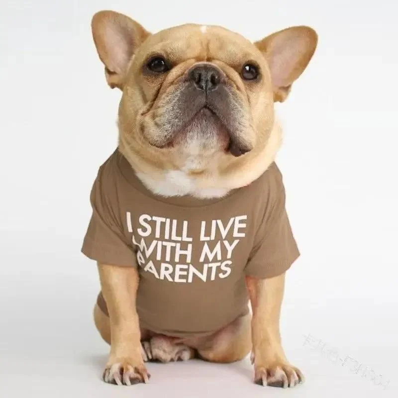 Pet T-Shirt – Soft Dog Shirt for Small & Medium Dogs