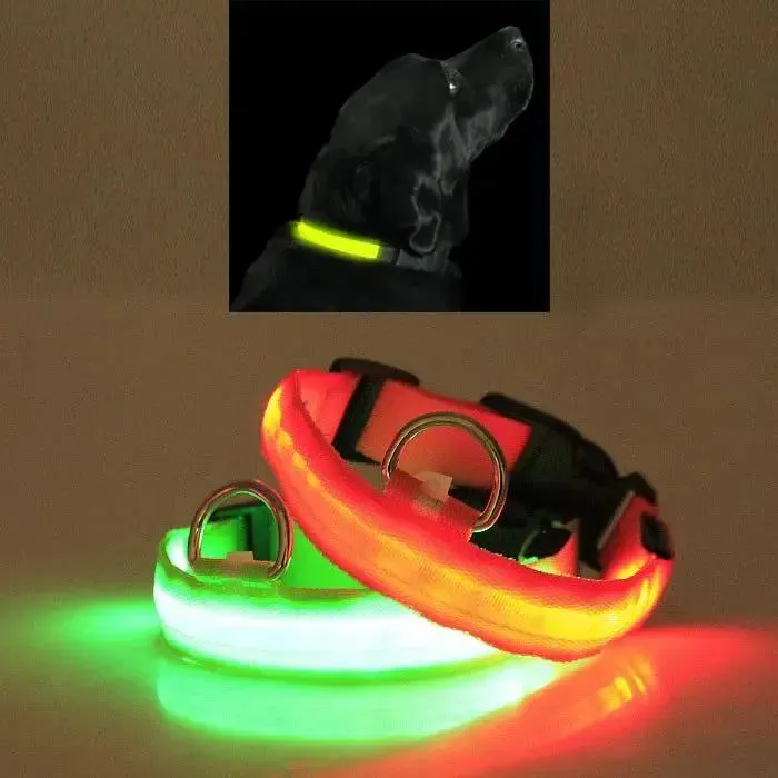 Glow Dog Collar – LED Safety Collar for Night Visibility