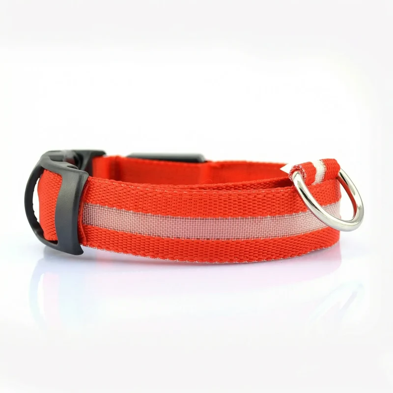 Glow Dog Collar – LED Safety Collar for Night Visibility