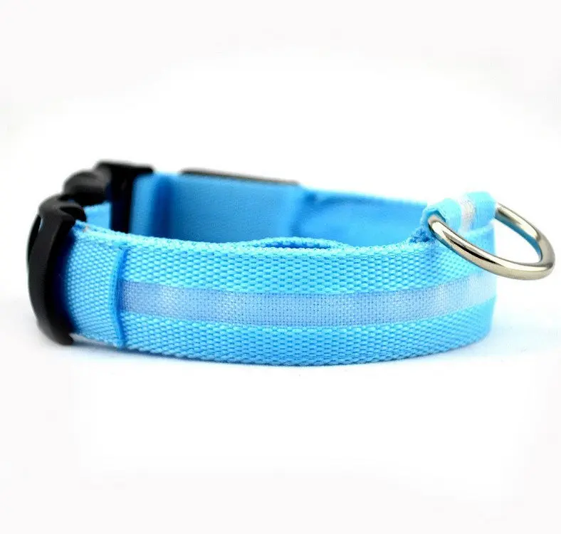 Glow Dog Collar – LED Safety Collar for Night Visibility