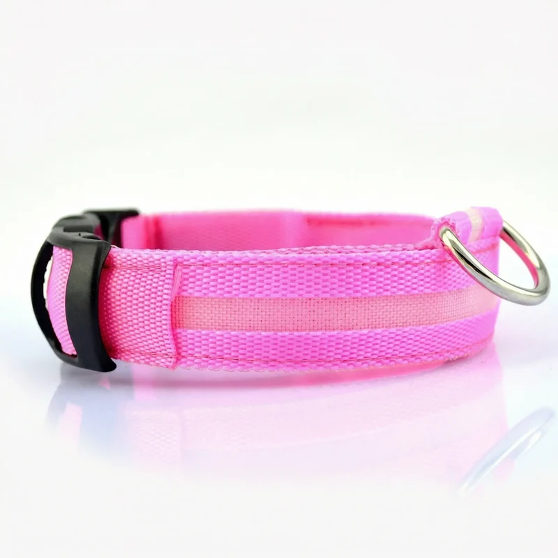 Glow Dog Collar – LED Safety Collar for Night Visibility