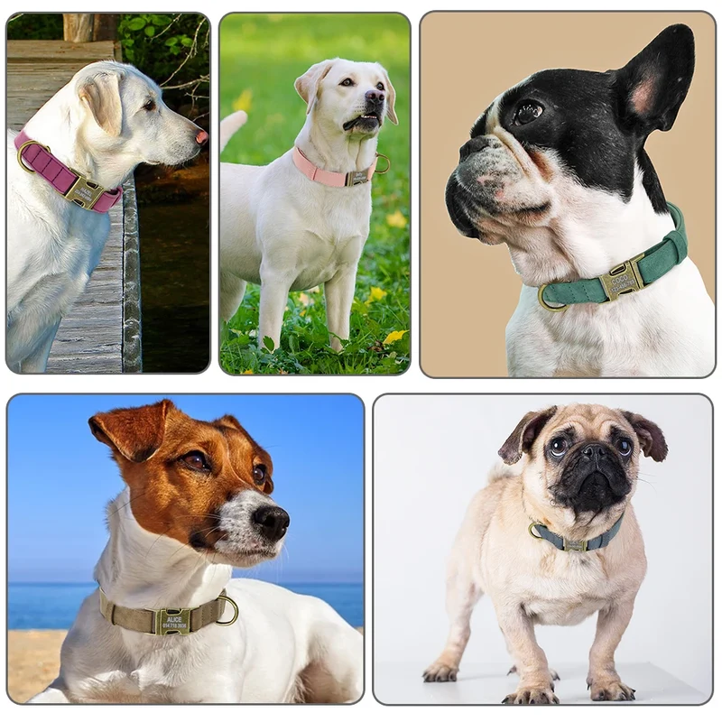 Personalized Dog ID Collar Customized Dogs Tag Collars With Metal Buckle Leather Padded for Small Medium Dogs Pitbull Buldog