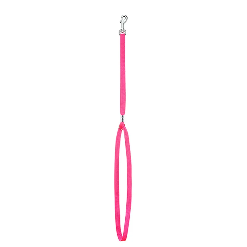 Dog Collar Pet Grooming Loops Safety Rope Leash Leads Dog Accessories Nylon Restraint Noose Solid Color Pet Supplies Adjustable
