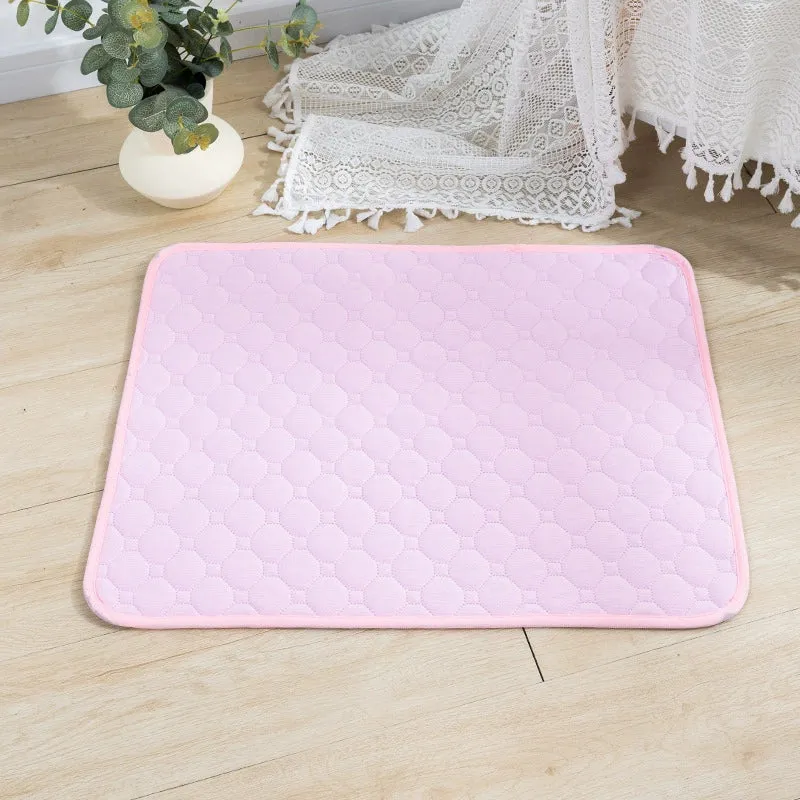 [One Piece Dropshipping] Washable Pet Overlay All Year Round Neutral Reuse Instant Water Absorption Non Slip Easy to Dry