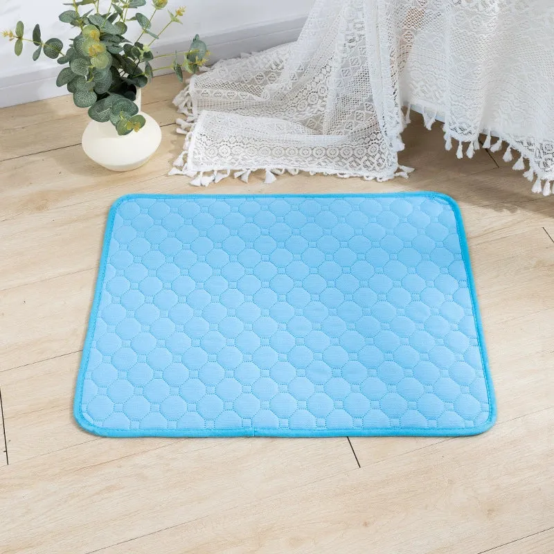[One Piece Dropshipping] Washable Pet Overlay All Year Round Neutral Reuse Instant Water Absorption Non Slip Easy to Dry