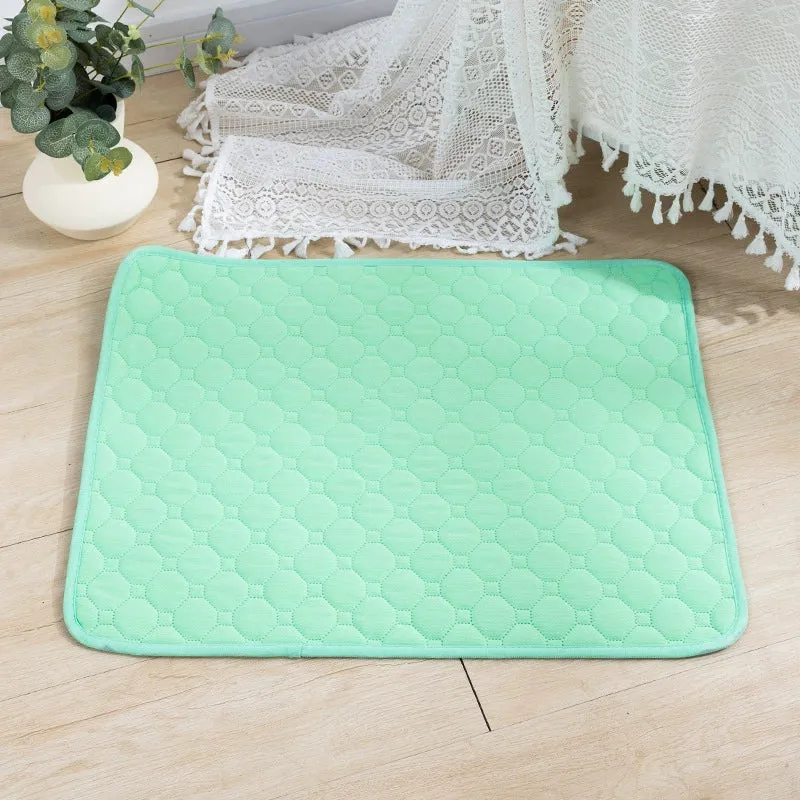 [One Piece Dropshipping] Washable Pet Overlay All Year Round Neutral Reuse Instant Water Absorption Non Slip Easy to Dry