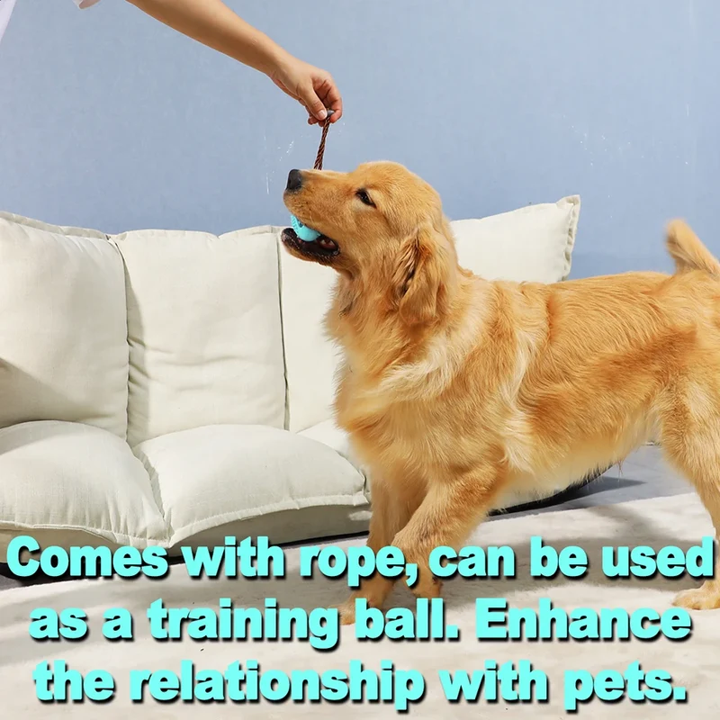 Dog Interactive Rubber Toys For Large Small Dogs Cats Chew Teeth Cleaning Golden Labrador Retriever Training Pet Accessories