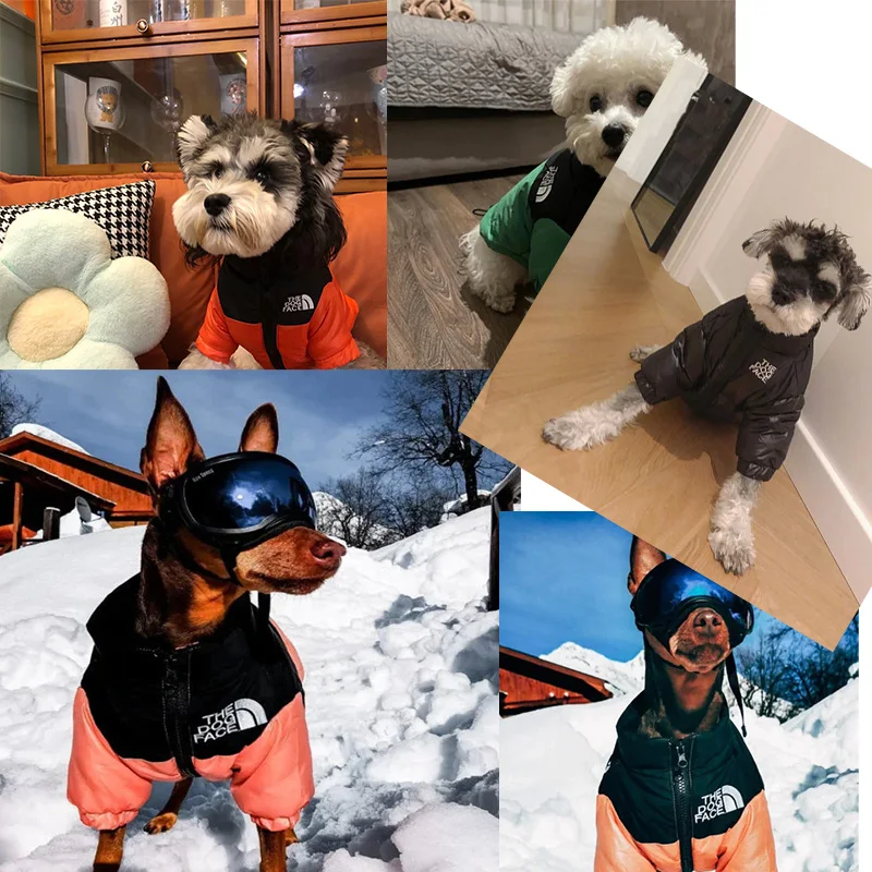 Winter Dog Jacket Pet Clothes Waterproof French Bulldog Yorkshire Chihuahua Small Medium Dogs Coat Warm Puppy Cat Clothing