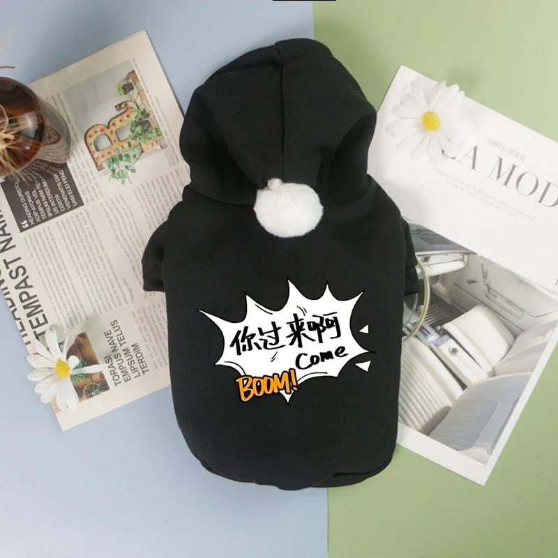 Pet Clothes Big Sale Autumn and Winter Thin Velvet Hooded Two-Leg Sweater Cat Teddy Bichon Jarre Aero Bull Small and Medium-Sized Dogs Dog