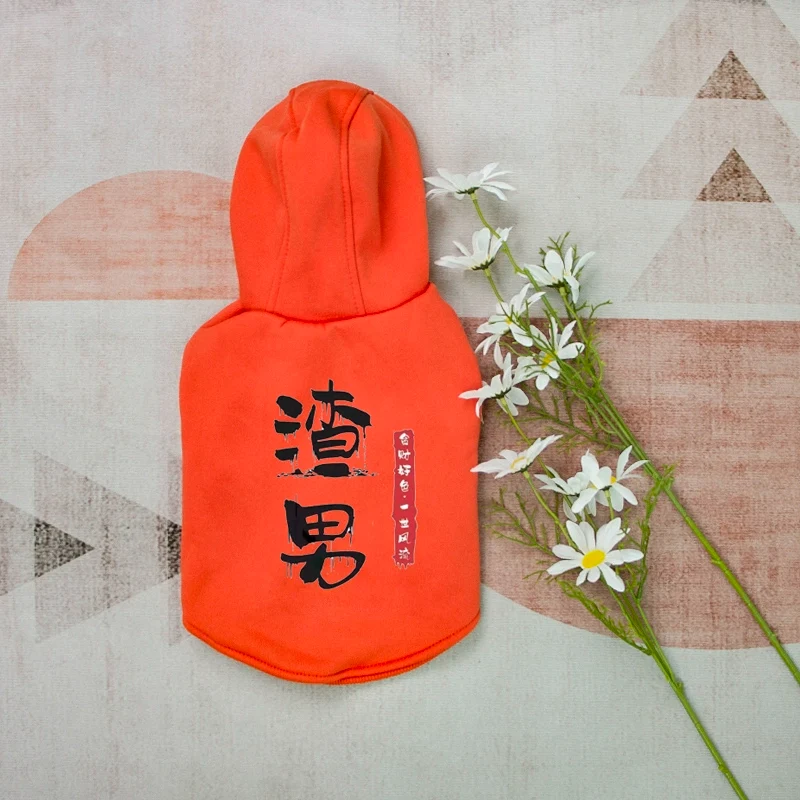 Pet Clothes Big Sale Autumn and Winter Thin Velvet Hooded Two-Leg Sweater Cat Teddy Bichon Jarre Aero Bull Small and Medium-Sized Dogs Dog