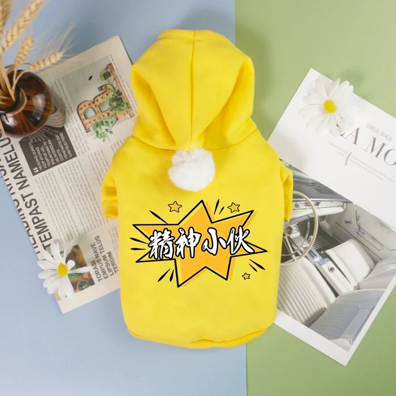 Pet Clothes Big Sale Autumn and Winter Thin Velvet Hooded Two-Leg Sweater Cat Teddy Bichon Jarre Aero Bull Small and Medium-Sized Dogs Dog