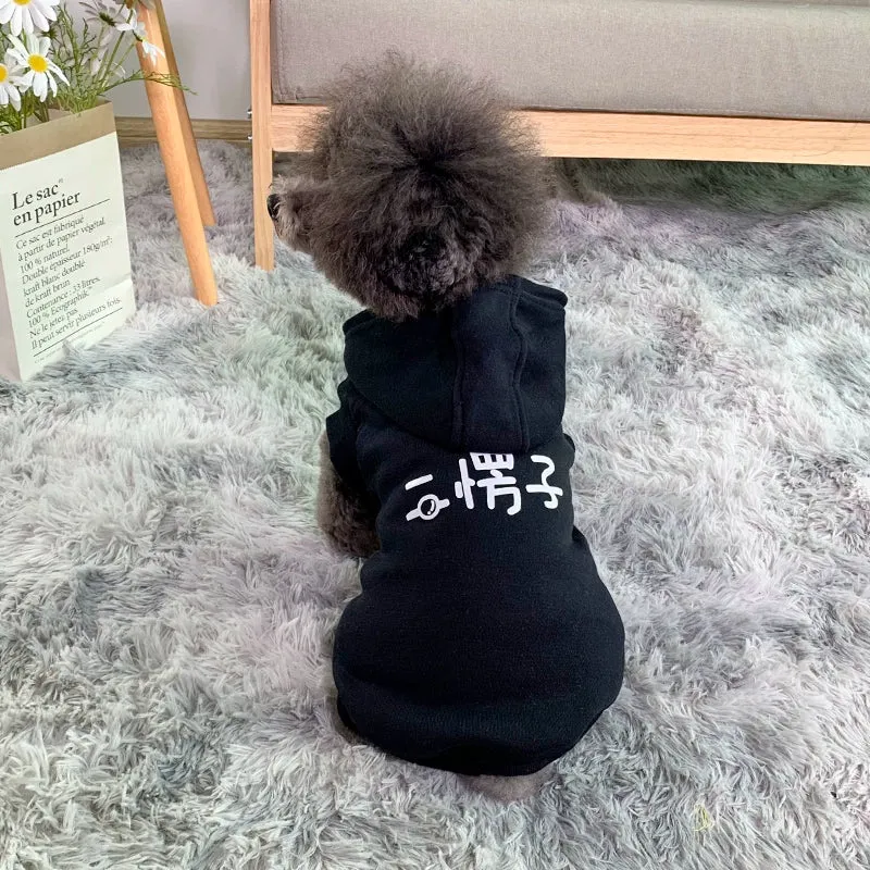 Pet Clothes Big Sale Autumn and Winter Thin Velvet Hooded Two-Leg Sweater Cat Teddy Bichon Jarre Aero Bull Small and Medium-Sized Dogs Dog