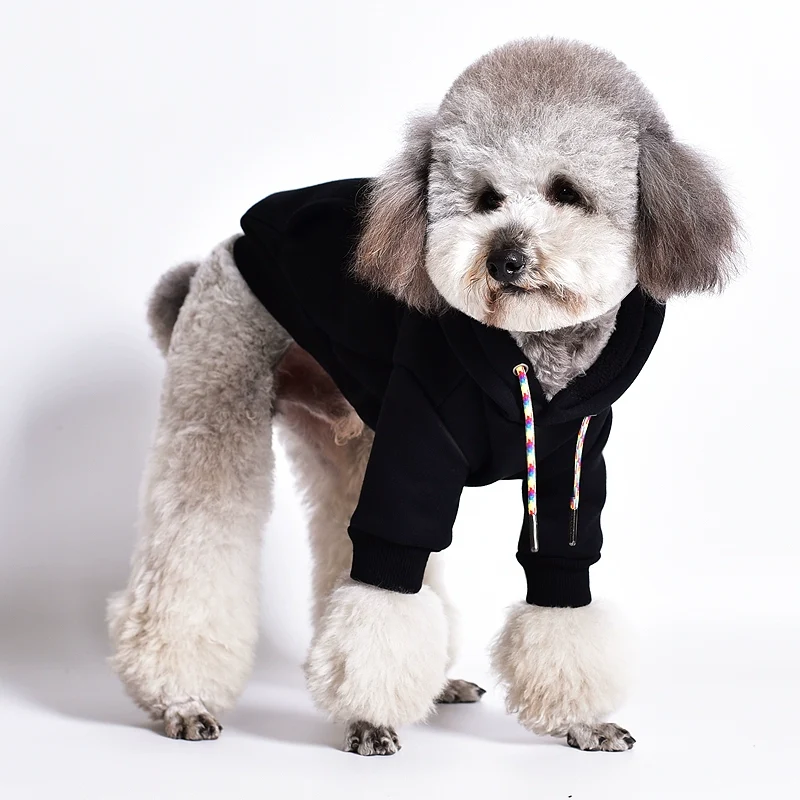 New Elastic Pullover Dog Pattern Sweater Teddy Bichon Schnauzer Jarre Aero Bull Corgi and Shiba Inu Pug Dog Autumn and Winter Clothes
