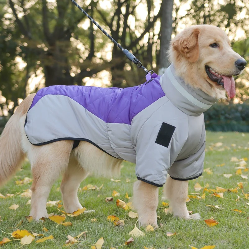 Dog Clothes Autumn and Winter Clothes Medium Large Dog Corgi Golden Retriever Puppy Special Winter Heattech Thick down Jacket Cotton-Padded Clothes