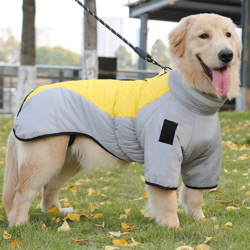 Dog Clothes Autumn and Winter Clothes Medium Large Dog Corgi Golden Retriever Puppy Special Winter Heattech Thick down Jacket Cotton-Padded Clothes