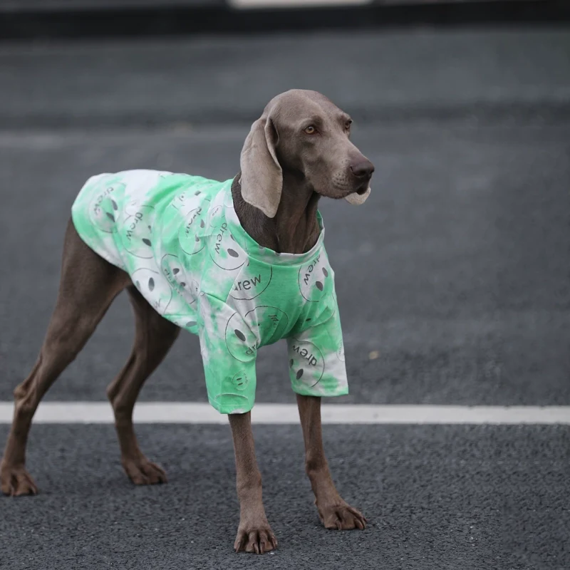 Dog Dog Clothes Large Dog Summer Sun Protection Pet Clothes Golden Retriever/Border Collie Labrador Breathable Internet Celebrity Dog Clothes