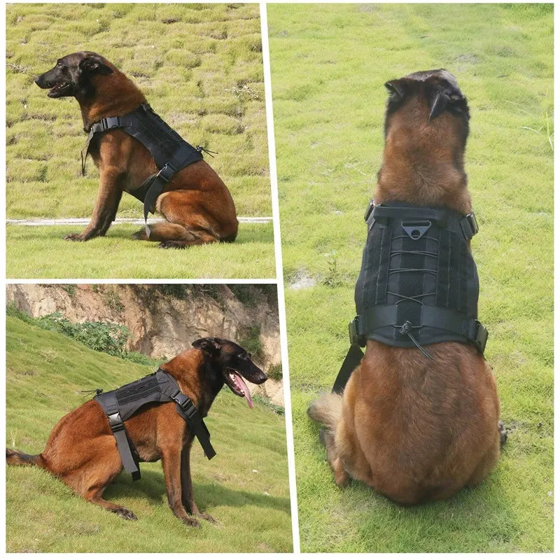 Labrador Border Collie Husky German Shepherd Black Back Malinois Dog Tactical Vest Chest Strap Hand Holding Rope Large Dog