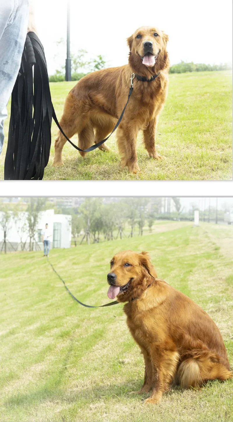 Long Nylon Leash with Comfortable Sponge Handle for Dogs Lanyard Outdoor Training Walk 1.8m 3m 6m 10m 15m 20m 30m 50m Dog Lead