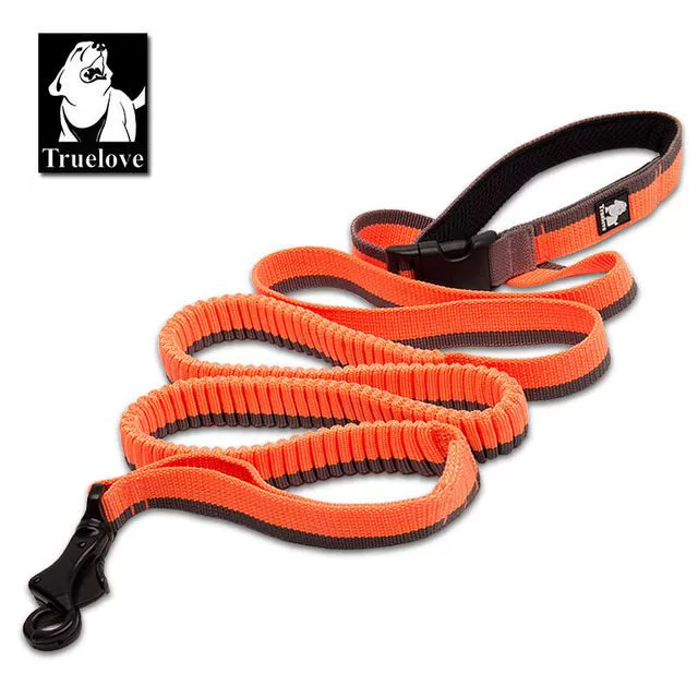 Dog Running Bungee Leash Hand-held Waistworn Adjustable Nylo