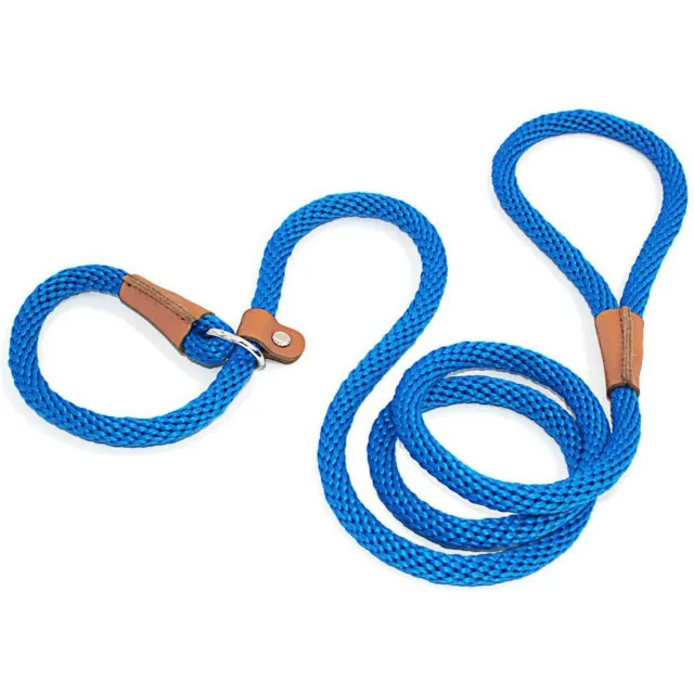 P Chain Durable Nylon Slip Rope Dog Leash Collar 2 In 1 Adjustable Loop Collar Comfortable Meidum Large Pet Harness Leash