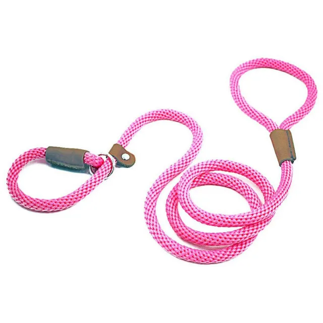 P Chain Durable Nylon Slip Rope Dog Leash Collar 2 In 1 Adjustable Loop Collar Comfortable Meidum Large Pet Harness Leash