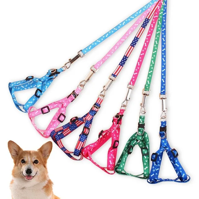 Dog Leash 3m 5m Durable Leash Automatic Retractable Nylon Cat Lead Extension Puppy Walking Running Lead Roulette For Dogs