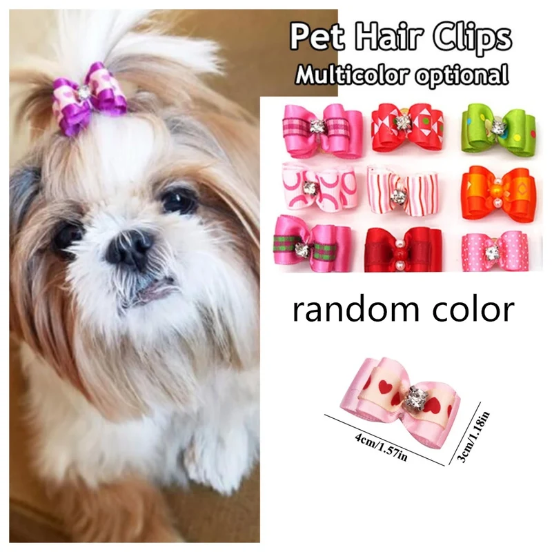 Stainless Steel Pet Bowl Pet Feeding Supplies Cat Feeding Dog Bowls Food Bowls pet stainless steel bowl Water Drinking Colorful