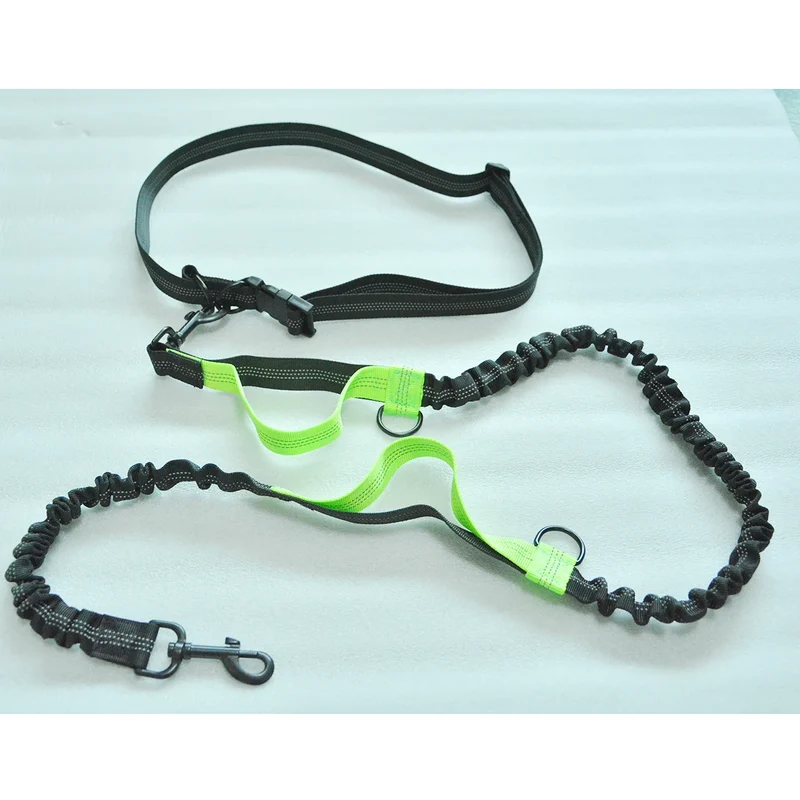 Retractable Hands Free Dog Leash For Running Double Handles Elastic Cord Reflective Large Dog Leash Pet Supplies
