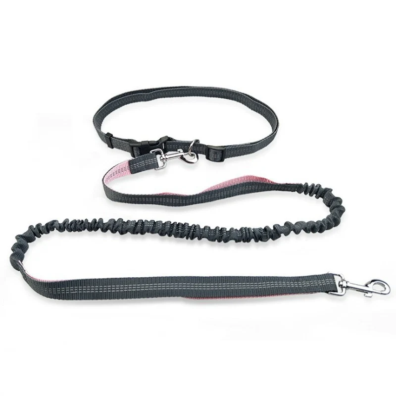 Dog Running Rope Waterproof Hand Holding Rope Waist Bag Small and Medium-Sized Dogs Dog Leash Multifunctional Outdoor Exercise Sports Traction