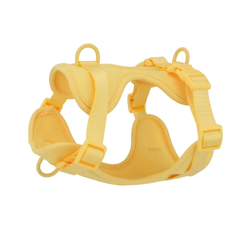 Dog Harness Outdoor Walk Training Fashion Pet Chest Strap Pet Harenss for Small Medium Dog