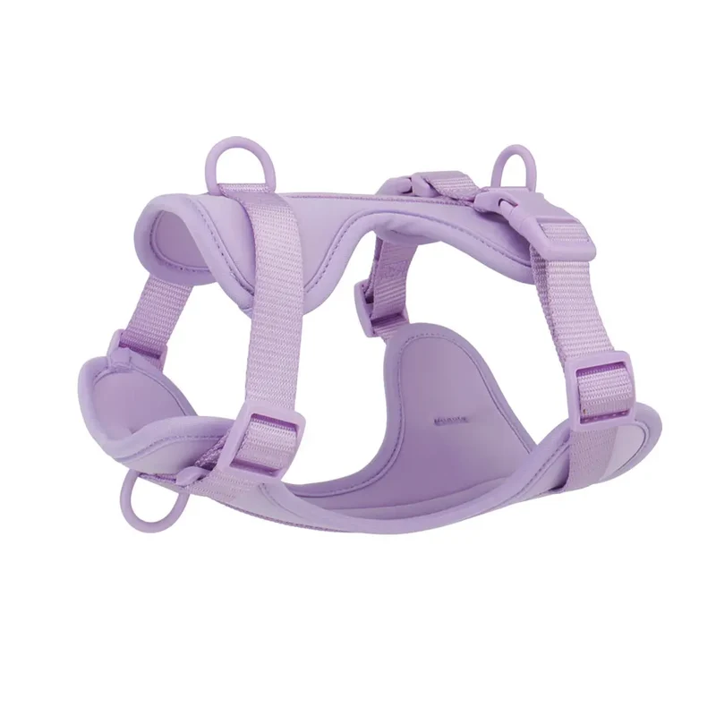 Dog Harness Outdoor Walk Training Fashion Pet Chest Strap Pet Harenss for Small Medium Dog