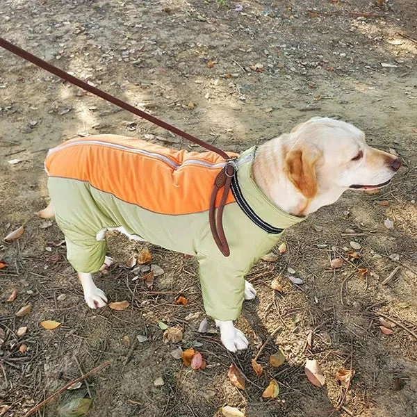 Pet Dog Clothes Medium to Large Dogs Samo Golden Wool Cotton-Padded Clothes Thickened Fleece-lined Windproof Warm Leisure Four-Leg Clothes