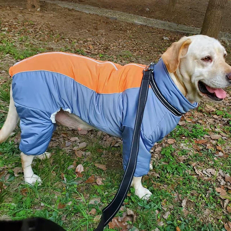 Pet Dog Clothes Medium to Large Dogs Samo Golden Wool Cotton-Padded Clothes Thickened Fleece-lined Windproof Warm Leisure Four-Leg Clothes