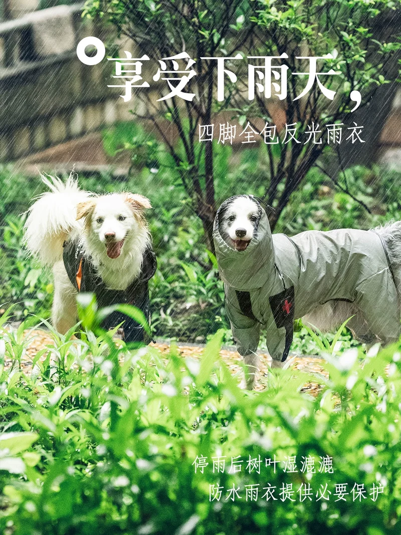 Large Dog Big Dog Raincoat Dog Clothes Summer and Autumn Four-Legged All-Inclusive Pet Shell Jacket Waterproof Reflective Golden Retriever/Border Collie