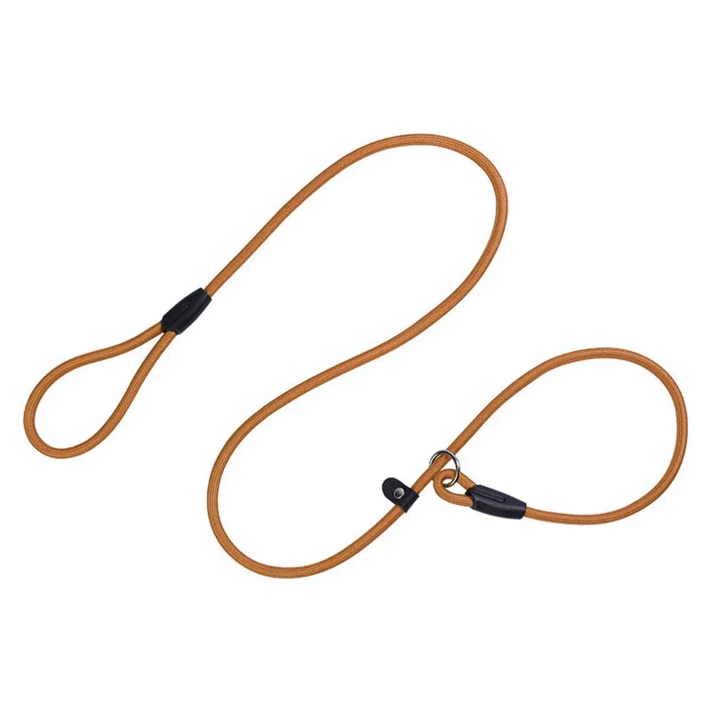 Slip Lead Dog Leash for Puppy Pet Small Dogs Training and Walking Nylon Rope Leash Anti-Choking P-sharped Dog Slip Chains Collar