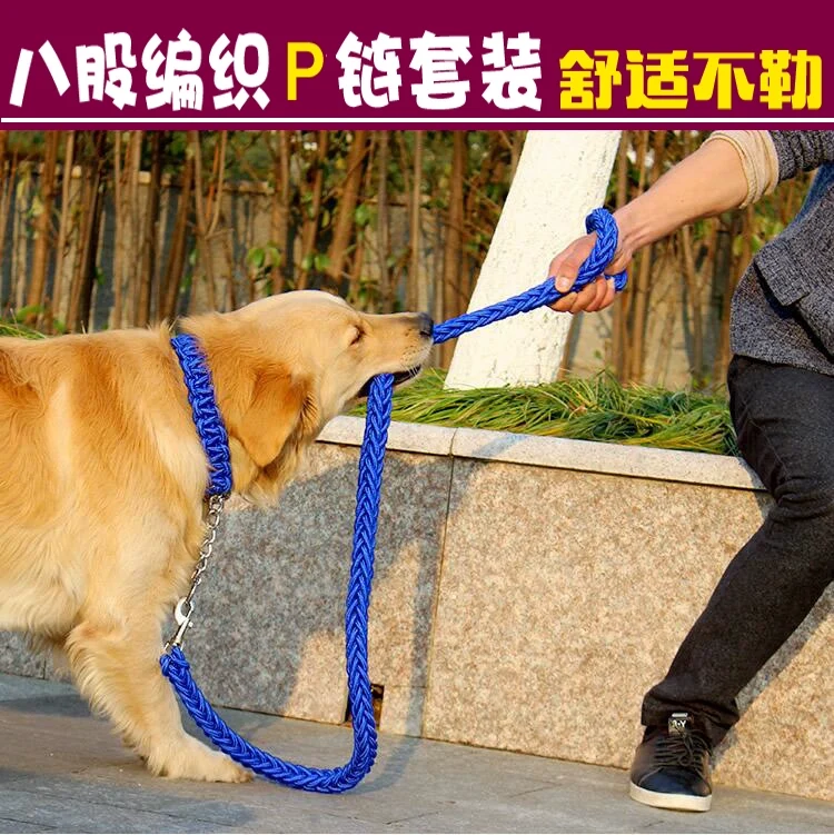 Big Dog Stereotyped Rope P Chain Suit Automatic Retractable Collar Medium Large Dog Golden Retriever Dog Walking Chain Traction Belt Explosion-Proof
