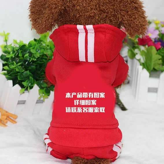 Teddy Pet Costume Small Dog Cotton-Padded Clothes for Autumn and Winter Totoro