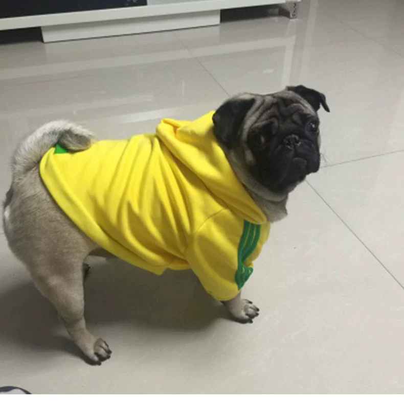 Pug Small and Medium-Sized Dogs Hoodie Fleece Jarre Aero Bull