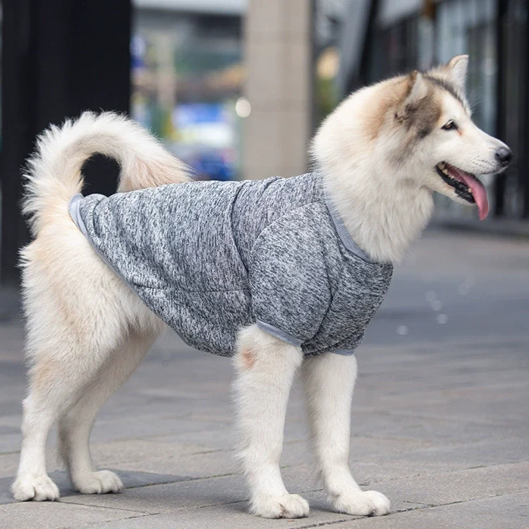 Labrador Golden Retriever Dog Clothes for Autumn and Winter