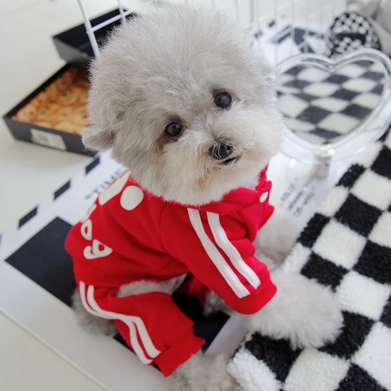 Pet Trendy Four-Legged Pet Clothing Pet Bichon Pomeranian Schnauzer Small Size Dogs Puppy Poodle Dog Clothes Spring and Autumn Clothing