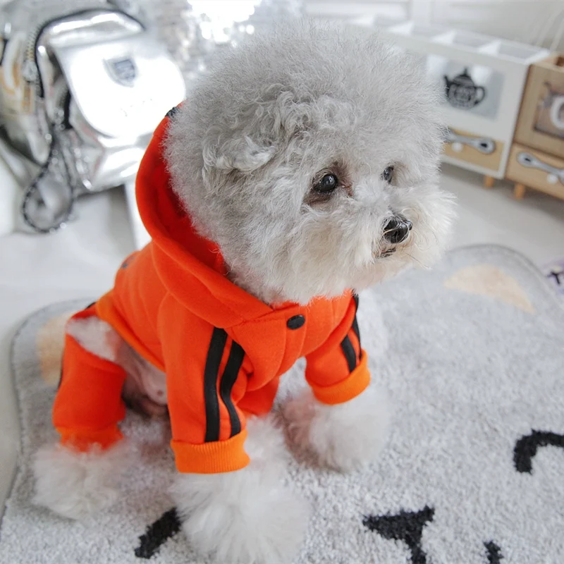 Pet Trendy Four-Legged Pet Clothing Pet Bichon Pomeranian Schnauzer Small Size Dogs Puppy Poodle Dog Clothes Spring and Autumn Clothing