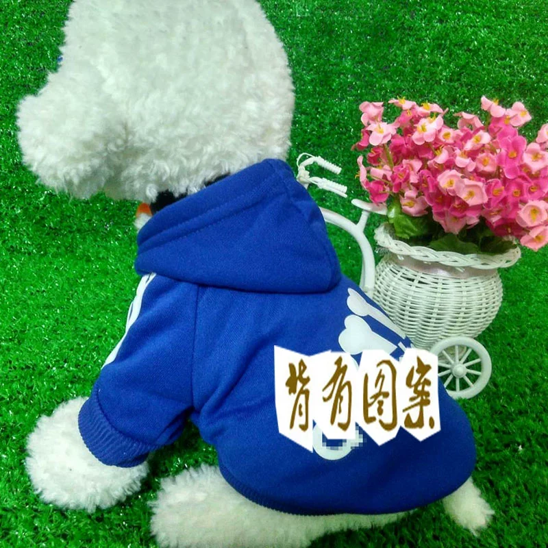 Golden Retriever Corgi Medium Large Dog Dog Clothes