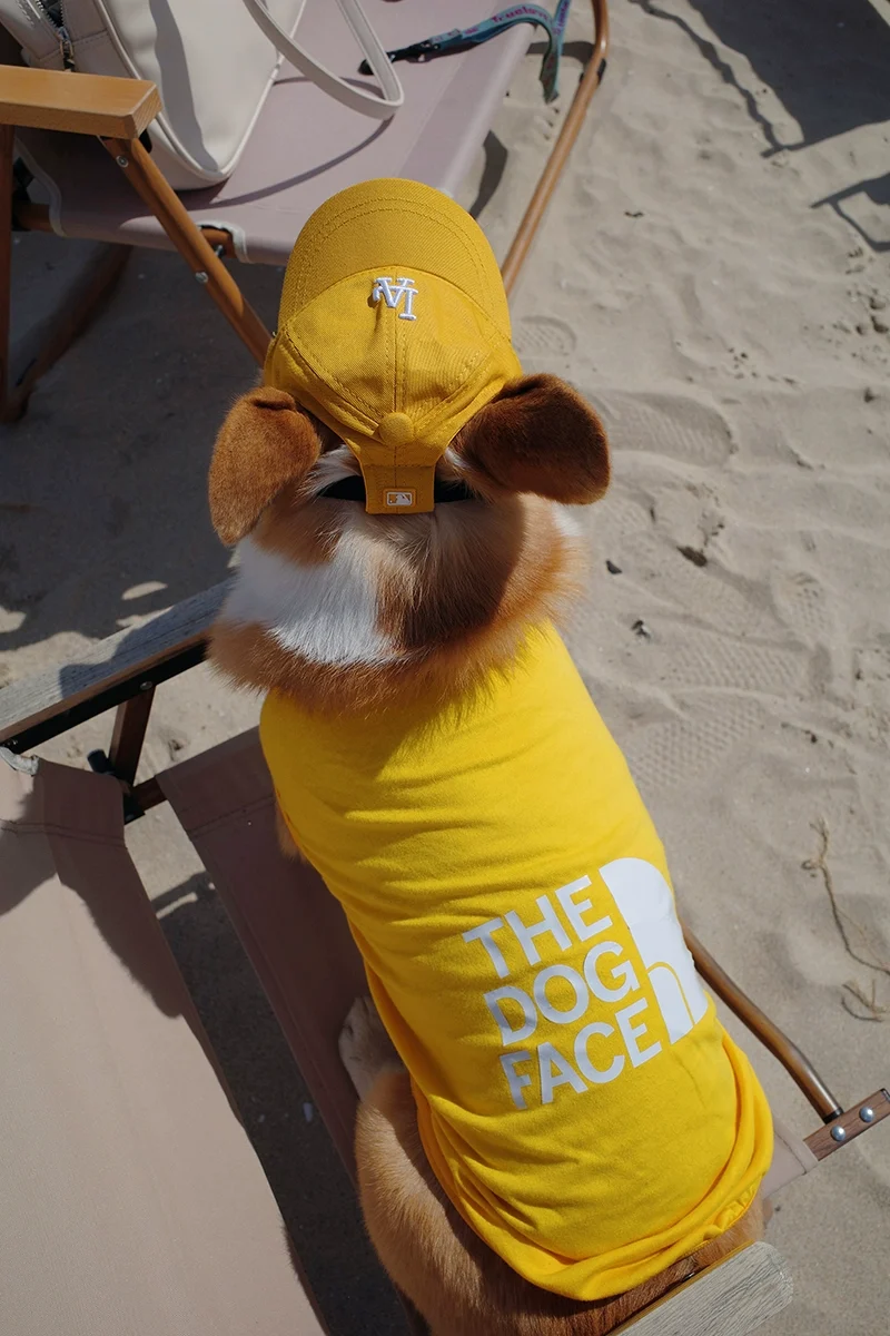 Pet Sleeveless Breathable Vest Spring and Summer Clothes Anti-Hair Loss Fat Dog Shaving Sun Protection Clothing Trendy Sports T-shirt Corgi