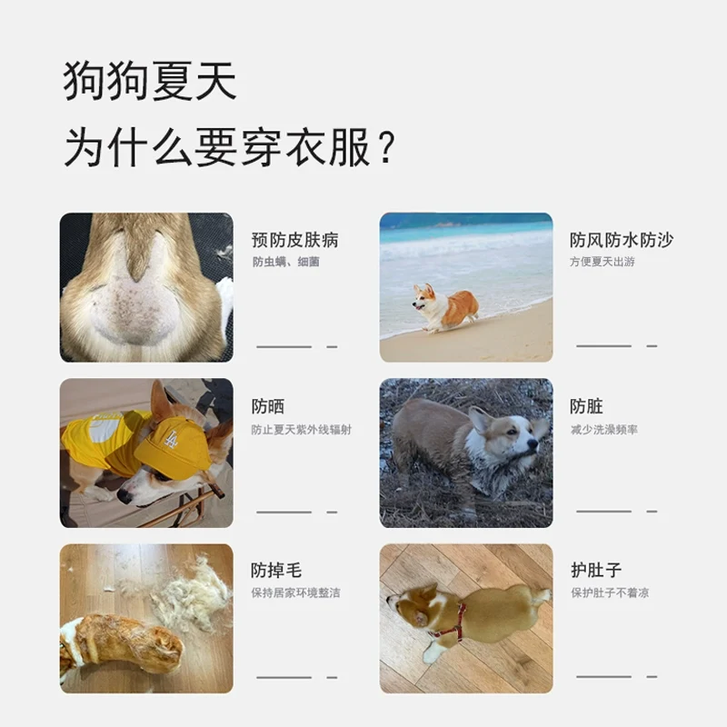 Pet Sleeveless Breathable Vest Spring and Summer Clothes Anti-Hair Loss Fat Dog Shaving Sun Protection Clothing Trendy Sports T-shirt Corgi