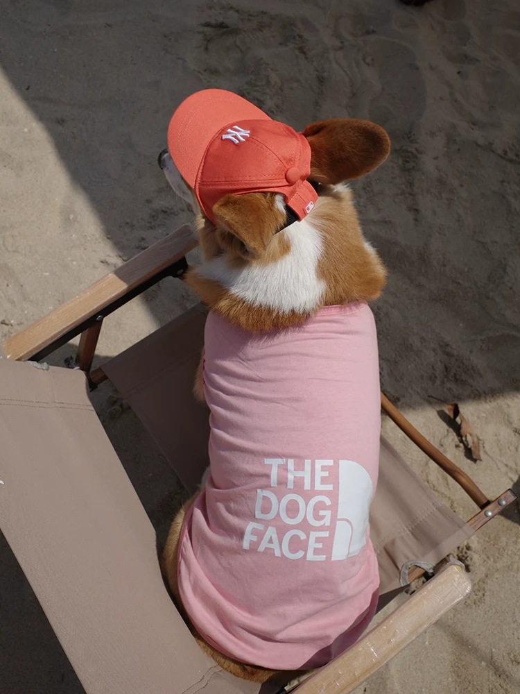 Pet Sleeveless Breathable Vest Spring and Summer Clothes Anti-Hair Loss Fat Dog Shaving Sun Protection Clothing Trendy Sports T-shirt Corgi