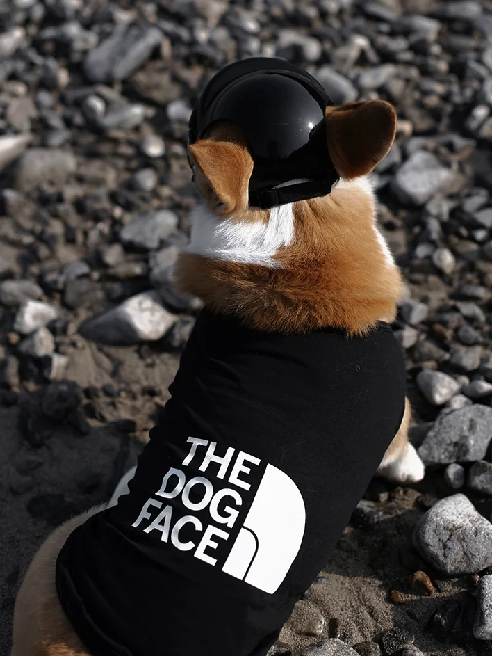 Pet Sleeveless Breathable Vest Spring and Summer Clothes Anti-Hair Loss Fat Dog Shaving Sun Protection Clothing Trendy Sports T-shirt Corgi