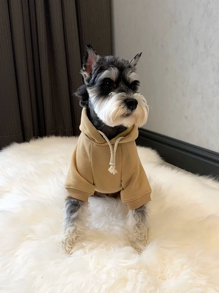 Pet Dog Winter Clothes Schnauzer Teddy Bichon Pomeranian Small Dog Cat Fleece Warm Fashion Brand Sweater