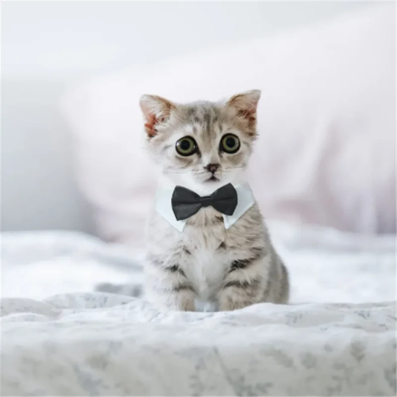 Adjustable Dog Cat Bowtie Formal Pet Bow Tie Collar Wedding Neck Tie for Cats Small Dogs Pet Costume Puppy Grooming Accessories