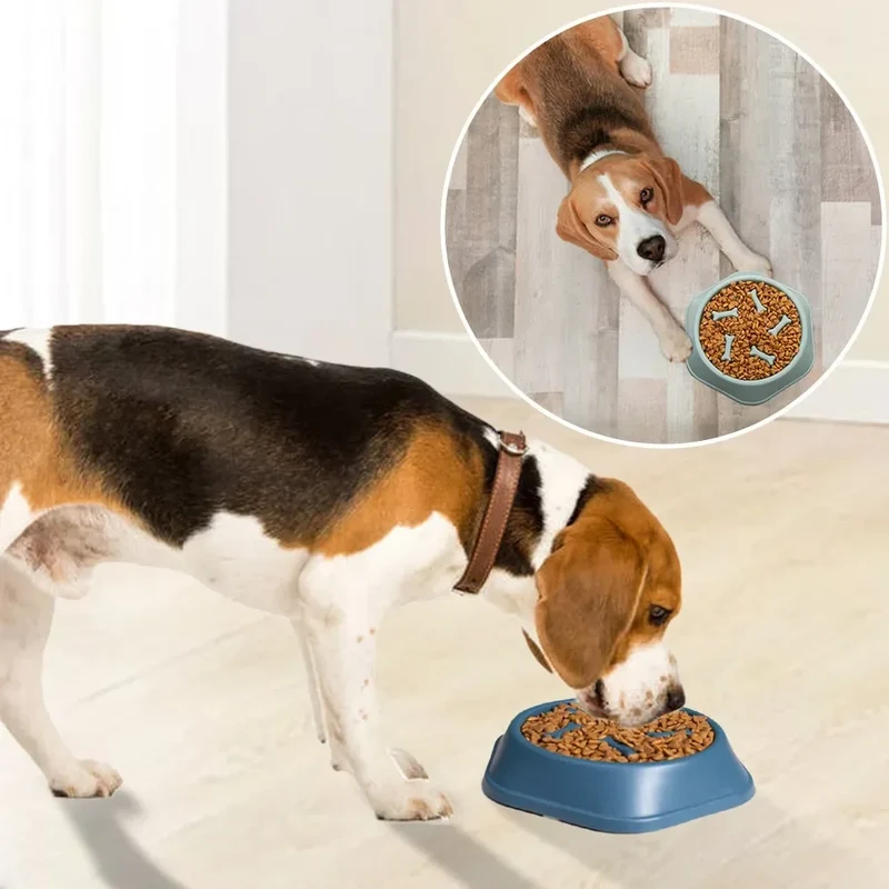 New Pet Dog Feeding Food Bowl Puppy Slow Down Eating Feeder Dish Bowl Prevent Obesity Pet Dogs Supplies Food Stora Dropshipping
